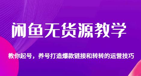 闲鱼无货源教学，教你起号，养号打造爆款链接以及转转的运营技巧|淘骐网赚资源库
