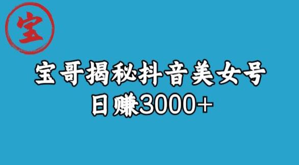 宝哥揭秘抖音美女号玩法,日赚3000+【揭秘】|淘骐网赚资源库