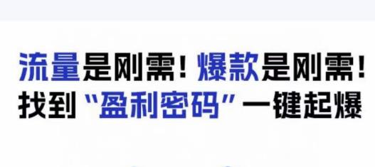 电商盈利精品课:6大盈利密码让产品更好卖,流量是刚需!爆款是刚需!找到”盈利密码”一键起爆|淘骐网赚资源库