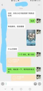 外边收费3980的同城萌宠项目,用最冷门的玩法冲击最热门的市场【揭秘】|淘骐网赚资源库