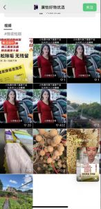 外面收费198的最新视频号连怼技术,条条原创,条条爆单【揭秘】|淘骐网赚资源库