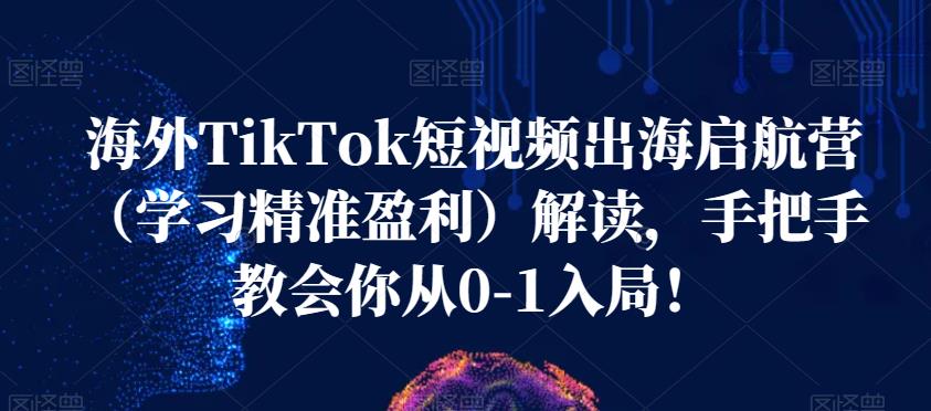 海外TikTok短视频出海启航营(学习精准盈利)解读,手把手教会你从0-1入局!|淘骐网赚资源库
