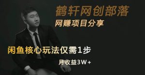 闲鱼核心玩法不卖货也能1年变现20W，玩法简单|淘骐网赚资源库