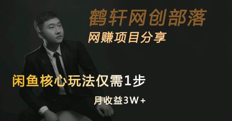 闲鱼核心玩法不卖货也能1年变现20W，玩法简单|淘骐网赚资源库