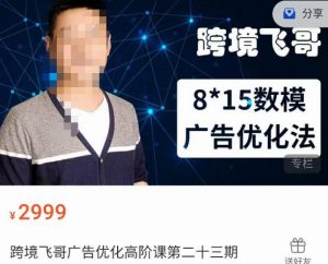 跨境飞哥·广告优化高阶课第二十三期,8*15数模广告优化法,用数据驱动决策|淘骐网赚资源库