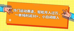 冷门运动赛道，轻松月入过万，一单纯利润30+，小白闭眼入【揭秘】|淘骐网赚资源库