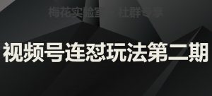 梅花实验室社群视频号连怼玩法第二期，实操讲解全部过程|淘骐网赚资源库