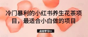 冷门暴利的小红书养生花茶项目,最适合小白做的项目【揭秘】|淘骐网赚资源库
