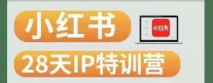 28天小红书博主IP特训营(第3期)实战经验,快速涨粉,迅速变现|淘骐网赚资源库