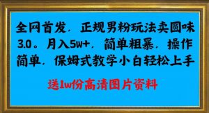 全网首发正规男粉玩法卖圆味3.0，月入5W+，简单粗暴，操作简单，保姆式教学，小白轻松上手|淘骐网赚资源库