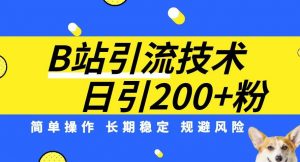 B站引流技术:每天引流200精准粉,简单操作,长期稳定,规避风险|淘骐网赚资源库