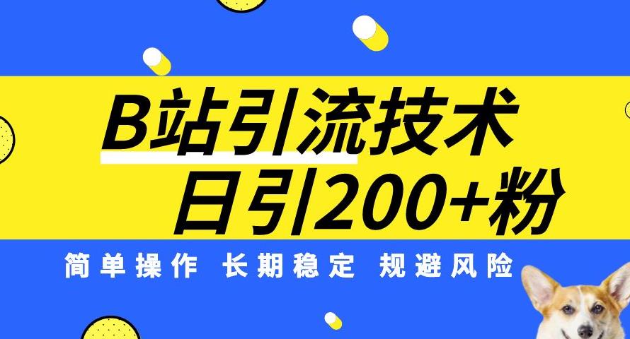B站引流技术：每天引流200精准粉，简单操作，长期稳定，规避风险|淘骐网赚资源库