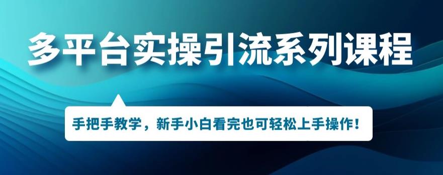 多平台引流实操系列课程，新手小白看完也可轻松上手进行引流操作|淘骐网赚资源库