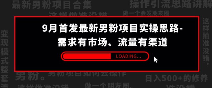 9月首发最新男粉项目实操思路-需求有市场，流量有渠道【揭秘】|淘骐网赚资源库