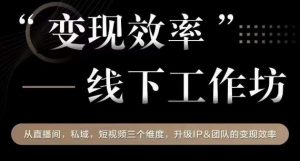 变现效率线下工作坊,从播直间、私域、视短频个三维度,升级IP和团队变现效率-第一资源库