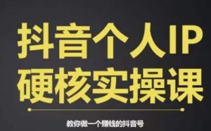 个人IP创富系统实战课,商业定位,流量打造,短视频变现,教你做个赚钱的抖音号|淘骐网赚资源库