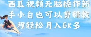 西瓜视频搞笑号，无脑操作新手小白也可月入6K|淘骐网赚资源库