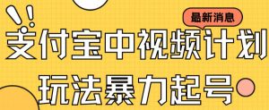 支付宝中视频玩法暴力起号影视起号有播放即可获得收益（带素材）|淘骐网赚资源库