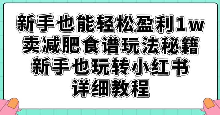 新手也能轻松盈利1w，卖减肥食谱玩法秘籍，新手也玩转小红书详细教程【揭秘】|淘骐网赚资源库