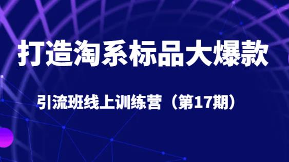 打造淘系标品大爆款引流班线上训练营（第17期）5天直播授课|淘骐网赚资源库
