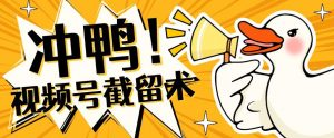 全球首发-视频号无限截留术-你不知道的流量沃土|淘骐网赚资源库
