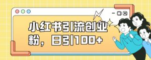 小红书引流创业粉，日引100+【揭秘】-第一资源库