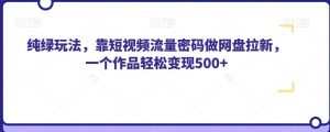 纯绿玩法，靠短视频流量密码做网盘拉新，一个作品轻松变现500+【揭秘】|淘骐网赚资源库