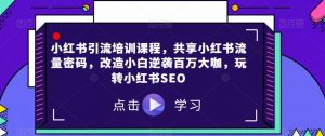 小红书引流培训课程，共享小红书流量密码，改造小白逆袭百万大咖，玩转小红书SEO|淘骐网赚资源库
