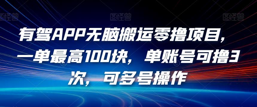 有驾APP无脑搬运零撸项目,一单最高100块,单账号可撸3次,可多号操作【揭秘】|淘骐网赚资源库