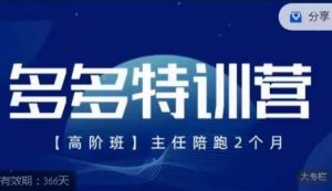 纪主任·多多特训营高阶班【9月13日更新】,拼多多最新玩法技巧落地实操|淘骐网赚资源库