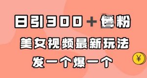 日引300+男粉,美女视频最新玩法,发一个爆一个【揭秘】|淘骐网赚资源库