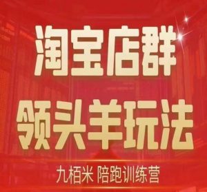 九栢米-淘宝店群领头羊玩法，教你整个淘宝店群领头羊玩法以及精细化/终极蓝海/尾销等内容|第一资源库