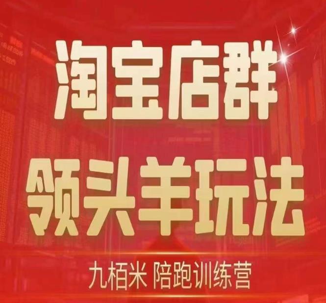 九栢米-淘宝店群领头羊玩法，教你整个淘宝店群领头羊玩法以及精细化/终极蓝海/尾销等内容|第一资源库