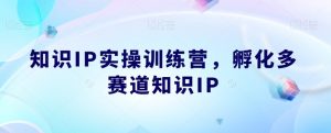 知识IP实操训练营,孵化多赛道知识IP|淘骐网赚资源库