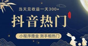 抖音最新小程序撸金，测手相上热门，当天见收益一小时变现300+【揭秘】|第一资源库