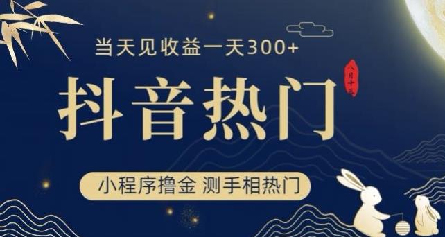 抖音最新小程序撸金，测手相上热门，当天见收益一小时变现300+【揭秘】|第一资源库