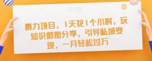 暴力项目,1天花1个小时,玩知识截图分享,引导私域变现,一月轻松过万【截图】|淘骐网赚资源库