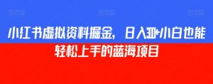 小红书虚拟资料掘金，日入300+小白也能轻松上手的蓝海项目【揭秘】|淘骐网赚资源库