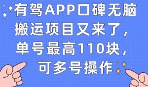 有驾APP口碑无脑搬运项目又来了，单号最高110块，可多号操作|淘骐网赚资源库