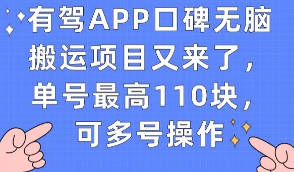 有驾APP口碑无脑搬运项目又来了，单号最高110块，可多号操作|淘骐网赚资源库