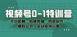 视频号0-1特训营:平台机制、拍摄剪辑、内容创作、爆款公式,实战案例分享|淘骐网赚资源库