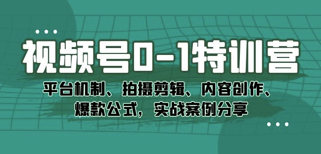 视频号0-1特训营:平台机制、拍摄剪辑、内容创作、爆款公式,实战案例分享|淘骐网赚资源库