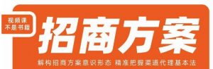 王昕招商方案,解构招商方案意识形态,精准把握渠道代理基本法|淘骐网赚资源库