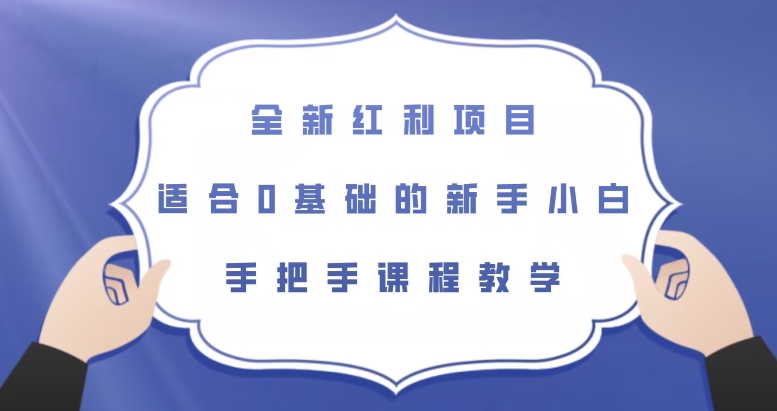 全新红利项目，适合0基础的新手小白，手把手课程教学【揭秘】|第一资源库