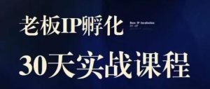 诸葛·2023老板IP实战课,实体同城引流获客,IP孵化必听|淘骐网赚资源库