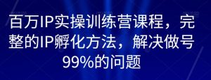 百万IP实操训练营课程,完整的IP孵化方法,解决做号99%的问题|淘骐网赚资源库