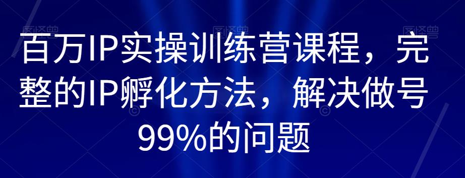 百万IP实操训练营课程,完整的IP孵化方法,解决做号99%的问题|淘骐网赚资源库