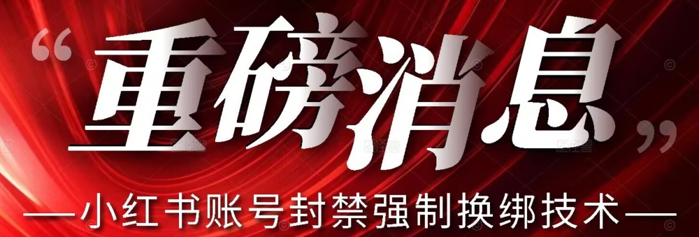 【最新】小红书账号封禁强制换绑技术可日赚300|淘骐网赚资源库