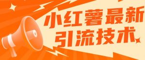 小红书最新引流技术，真正实现解放双手暴力引流|淘骐网赚资源库