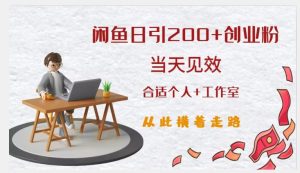 闲鱼精准引流创业粉,日引200+,当天见效,从此横着走|淘骐网赚资源库